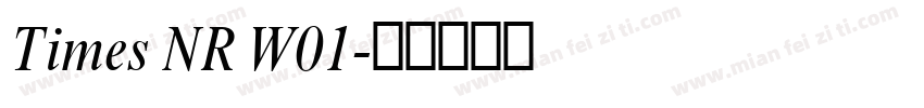 Times NR W01字体转换